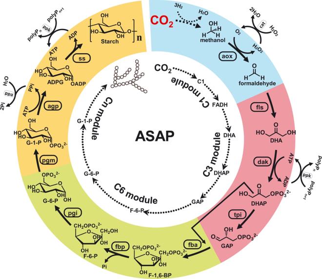 CO2生物利用技术将助力碳中和多种突破性技术商业化前景可期 生辉分析pg电子平台(图6)