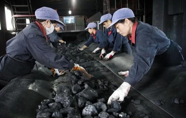 地球上的煤炭到底是怎么来的？pg电子平台为什么煤层会厚达100多米？(图4)
