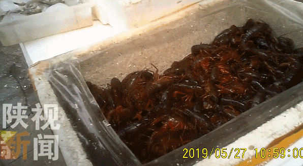 知情人pg电子平台爆料西安市场部分小龙虾为有毒物质洗涤 涉及盒马鲜生(图1)