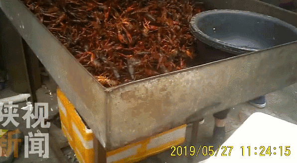 知情人pg电子平台爆料西安市场部分小龙虾为有毒物质洗涤 涉及盒马鲜生(图4)