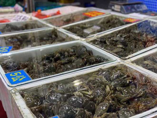 杭州水产市场螃蟹“西施”：大闸蟹、梭子蟹最近便宜了pg电子平台现在正是吃公蟹的时候(图3)