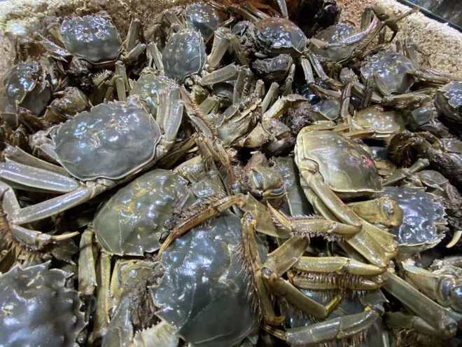 杭州水产市场螃蟹“西施”：大闸蟹、梭子蟹最近便宜了pg电子平台现在正是吃公蟹的时候(图2)