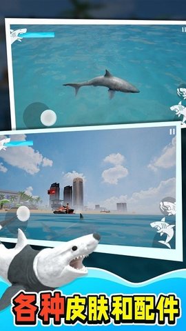 鲨鱼大猎杀3D版pg电子平台(图1)