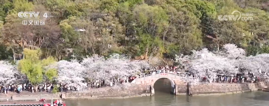PG电子官网赛事聚“流量”经济添“增量” 以“赛”为媒激发多元消费新活力(图1)